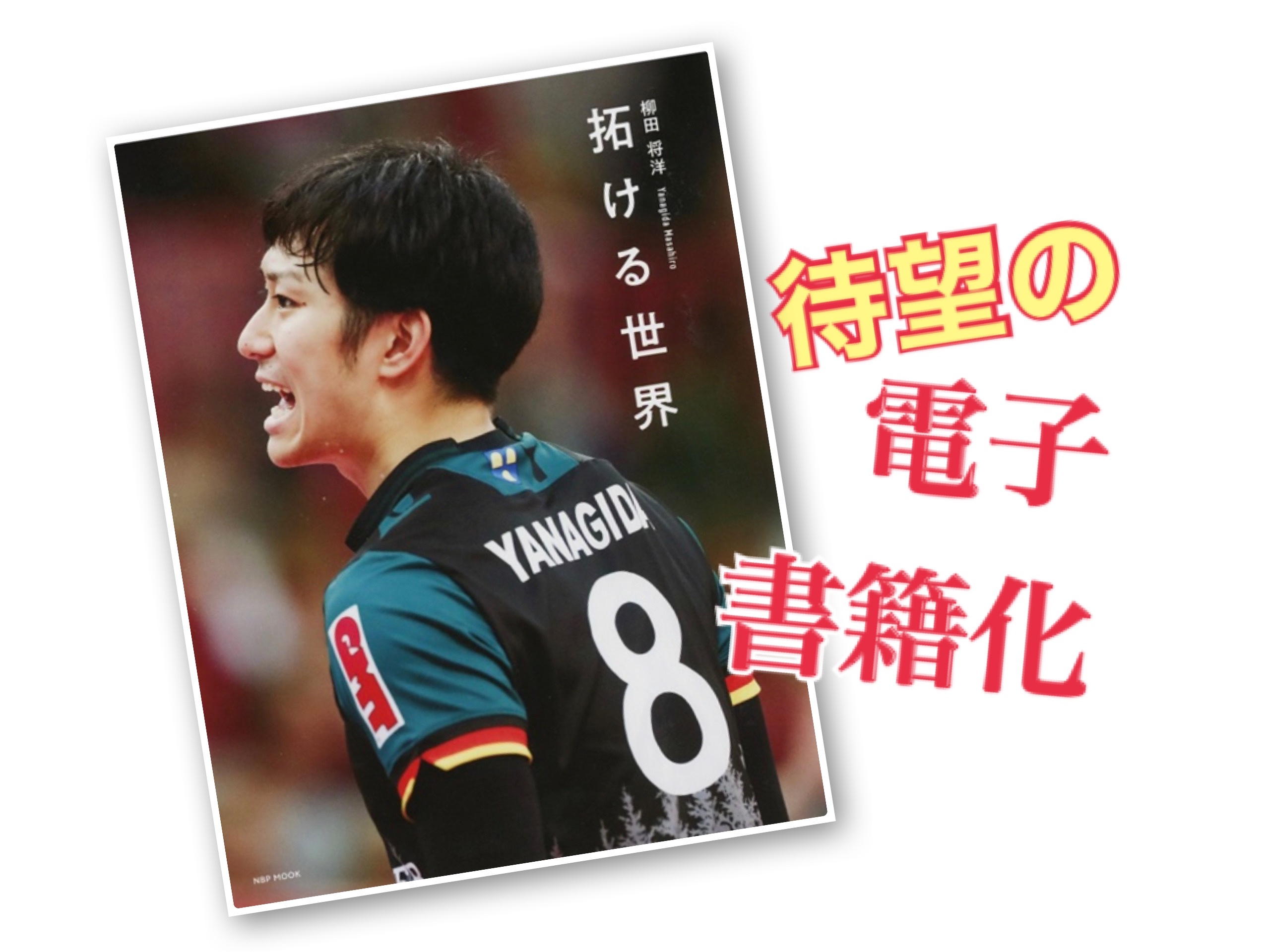 柳田将洋『拓ける世界』が電子書籍化 | 月バレ.com【月刊バレーボール】