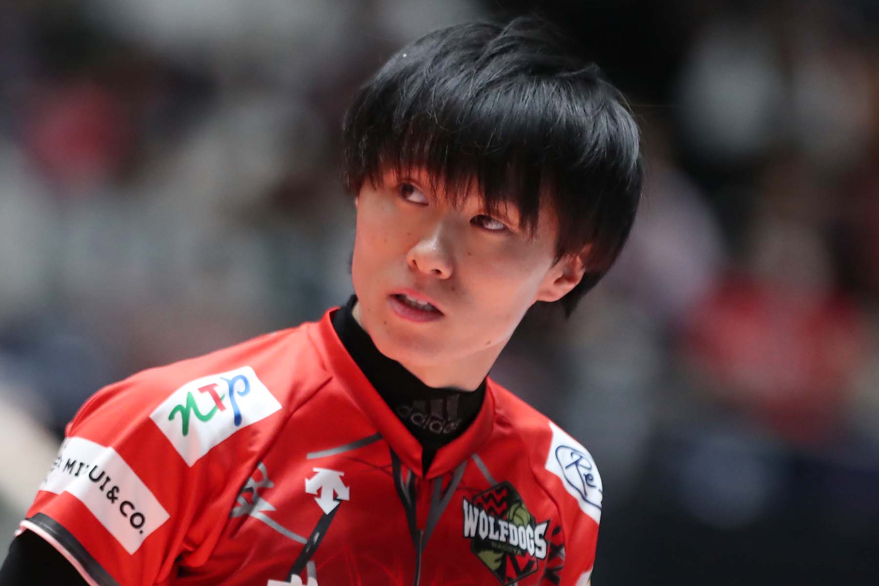 WD名古屋 小川智大、勝岡将斗、中野倭、藤本アナリストの退団を発表 