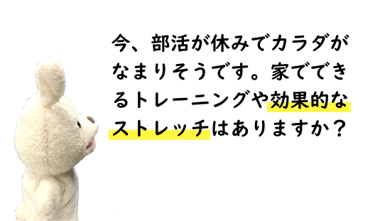 shitsumon03